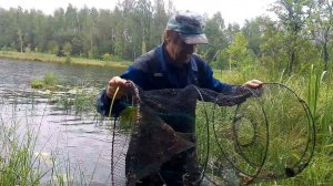 ЛОВЛЯ ТРОФЕЙНЫХ РЫБ НА ВЕРШУ СЕКРЕТЫ И ТАКТИКИ