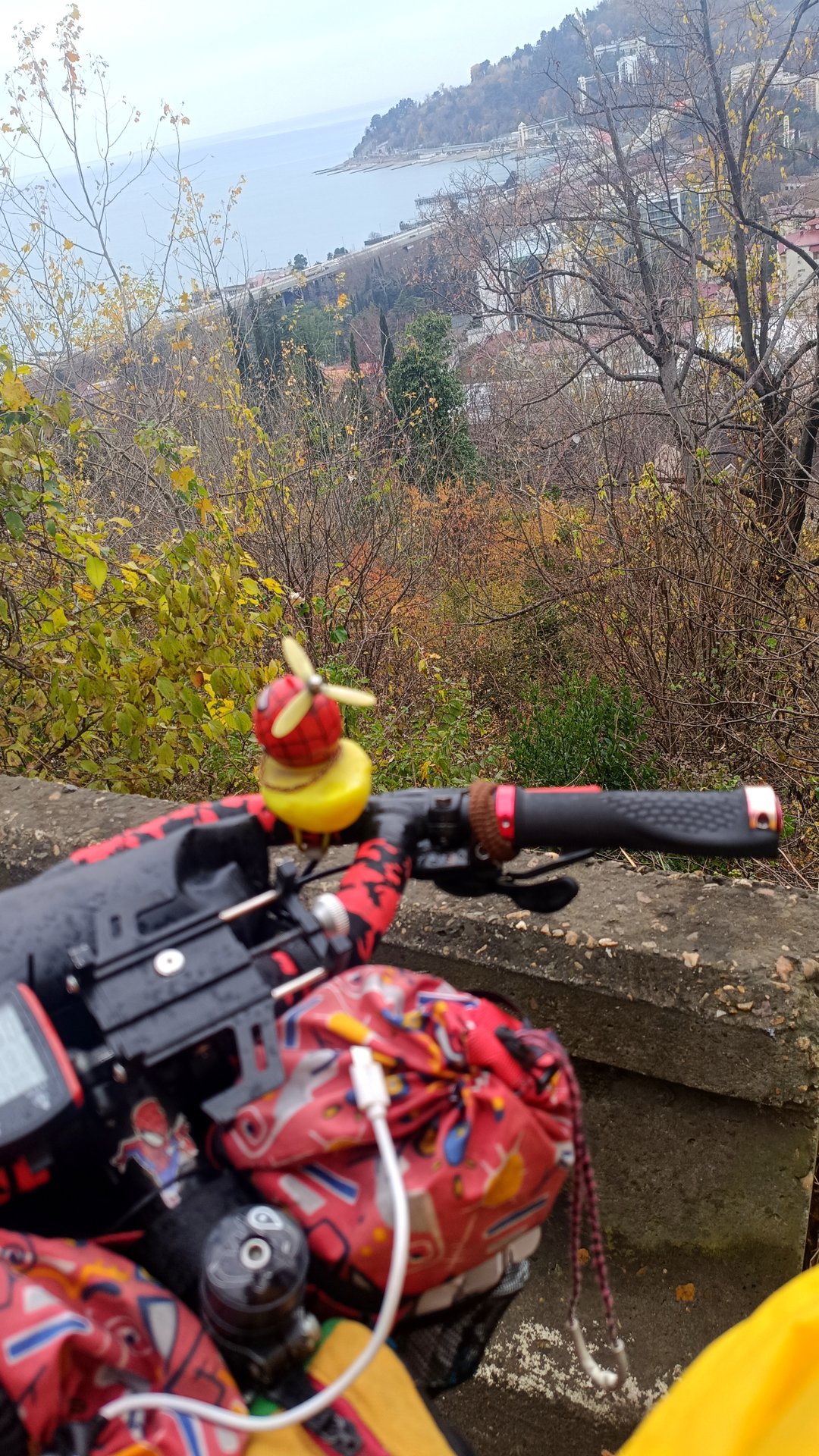 Немного дождливого 🌧️🌴 Сочи.22-12-2025