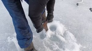 Что делают люди на льду Охотского моря