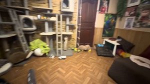 Пока МЫ ПЕРЕЖИВАЕМ за маленькую Николь, Анфиса пионерит папин пирожок)