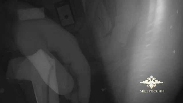 В аэропорту Шереметьево имени А.С. Пушкина сотрудники полиции задержали агрессивную авиапассажирку смотреть онлайн