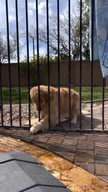 С помощью упорства, можно достичь любой цели смотреть онлайн