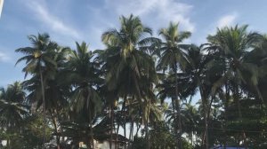 Гоа, Индия! Отдых и его особенности! 2025-2026