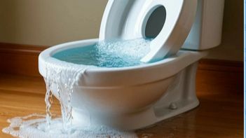 12 🚽Полная (подробно) настрока запорной арматуры и поплавка в бачке унитаза. смотреть онлайн