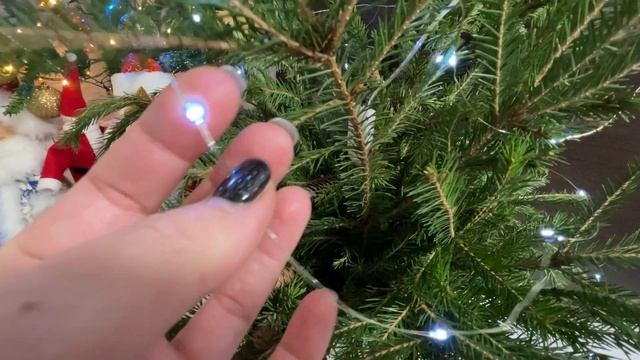 Купила еловый веник 🌲 Что я с ним сделала ❗️ смотреть онлайн