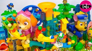 Щенячий патруль. Мультфильм для детей. Мраморная дорожка из строительных блоков Марбл Ран | АСМР