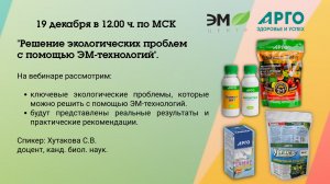 Решение экологических проблем с помощью ЭМ-технологии