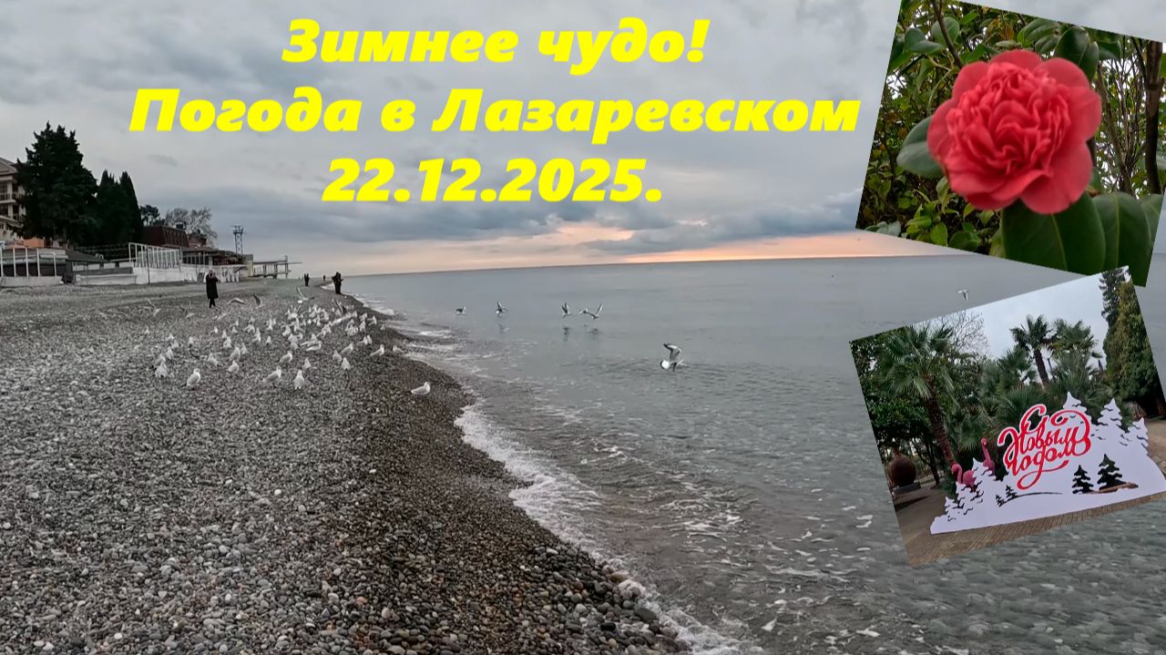Зимнее чудо! Погода в Лазаревском 22.12.2025 смотреть онлайн