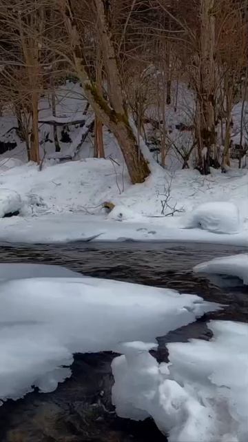 Зима разгаре смотреть онлайн
