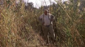 Янки-в-африке