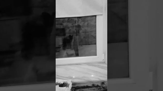 1000089917.mp4 смотреть онлайн