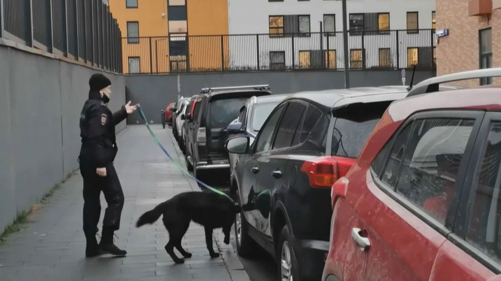 Кинологи на месте взрыва автомобиля на парковке на юге Москвы смотреть онлайн