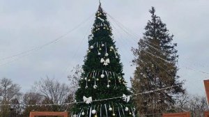 Елочка в Старобельске 2025