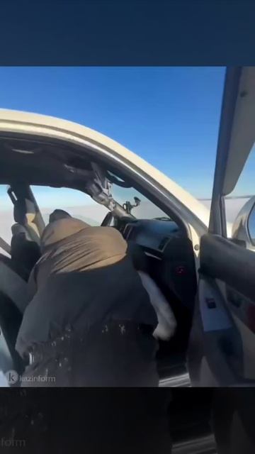 Спасение лебедей.