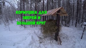 КОРМУШКА ДЛЯ ЗВЕРЯ. МАЛЫЙ КРУГ. В ГОСТИ ПРИШЛА НОРКА.