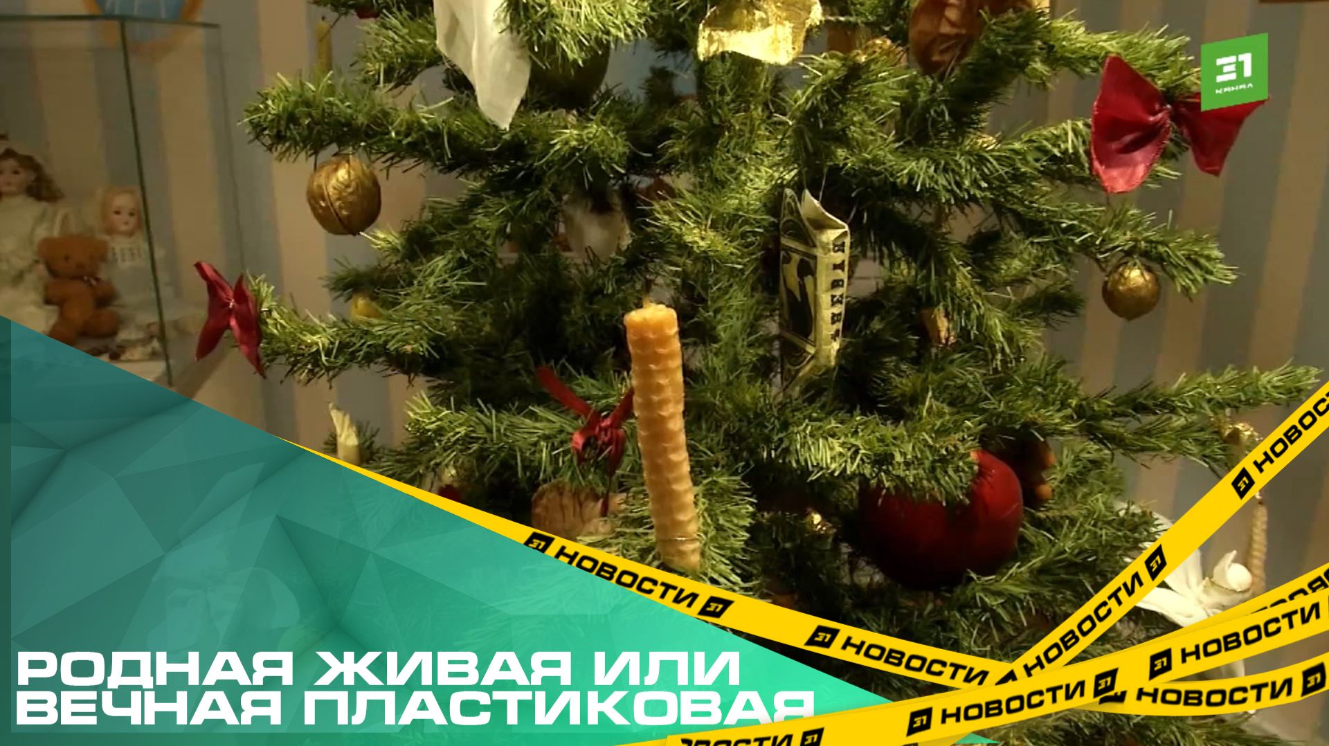 Родная живая или вечная пластиковая. Какую елку выбрать к Новому Году? смотреть онлайн