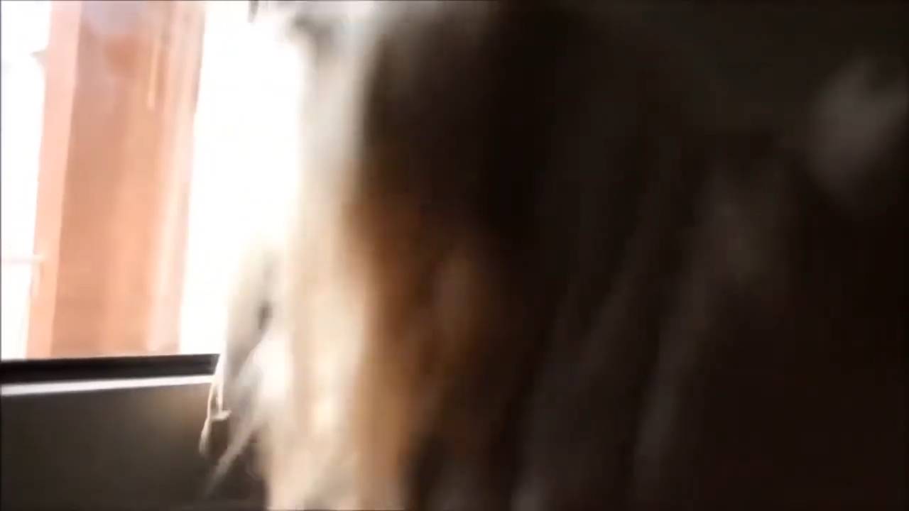 Сэкси девочки сэкси попки # 2 смотреть онлайн