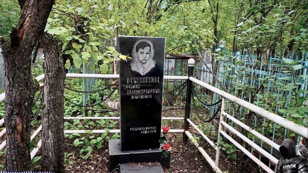 Я почувствовал присутствие страха… заросшее кладбище и могила, от которой холод внутри ЭГФ / ФЭГ