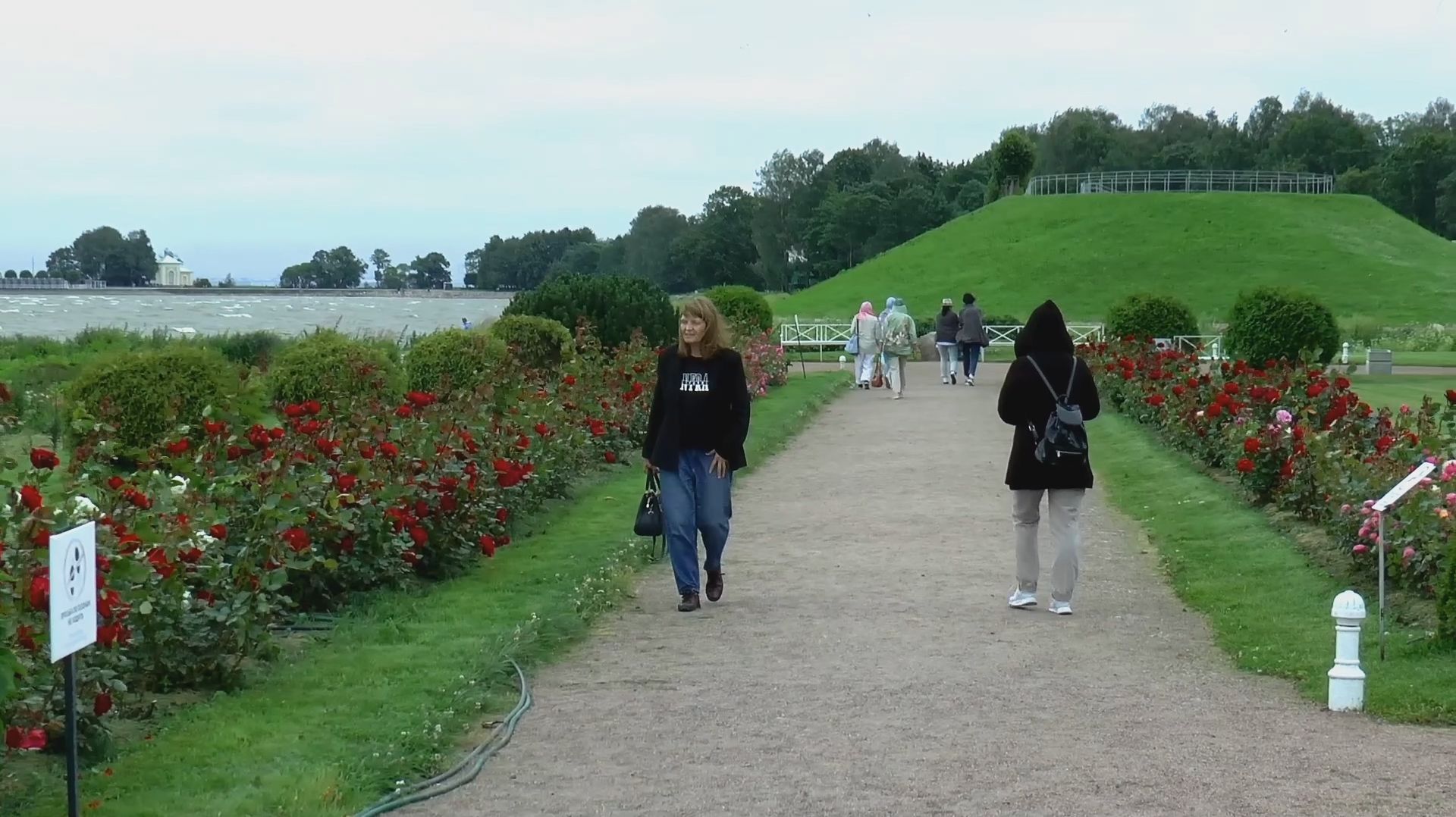 Петергоф-Нижний парк, миллион алых роз. смотреть онлайн