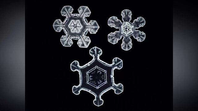 УТРО ИНГУШЕТИИ 231225 смотреть онлайн