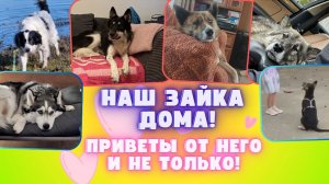 Тот самый "Зайка", "Нюша" и другие приветы из дома!
