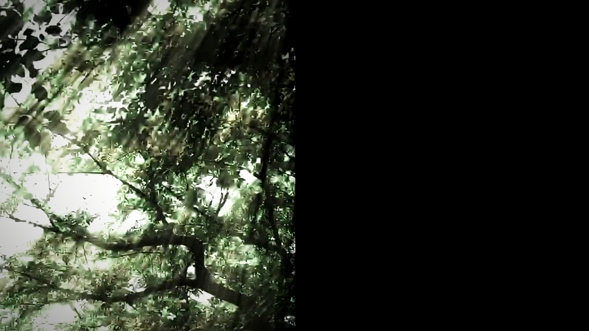 Токийский Гуль - Эндинг 4 | 4k | 60FPS | Creditless | смотреть онлайн