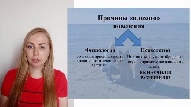 Ознакомительная часть из видео-урока "Нет Значит Нельзя" . Как запретить собаке что либо... смотреть онлайн