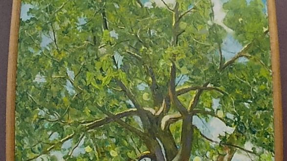 Юбилейная выставка А. П. Котова «Художник земли саратовской» 1 из 2-х