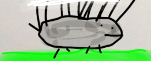 иду на плавание