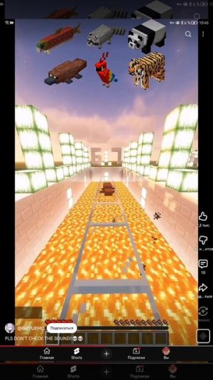 SVID_20251222_104526_1.mp4