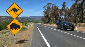 Самостоятельно по Австралии