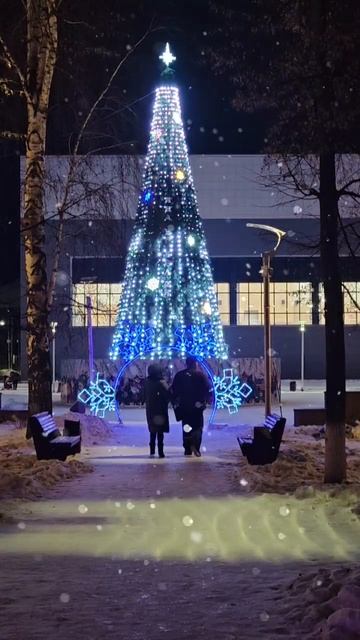 1.Прогулка по новогодним паркам Буинска. Декабрь 2025г.