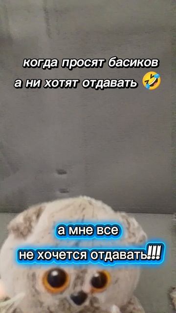 история 6 Моисеев