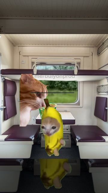 Вредный сосед в поезде