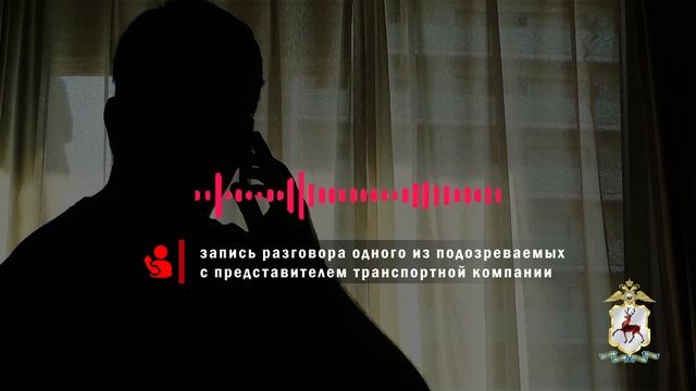 В Нижнем Новгороде задержаны двое мужчин за мошенничество на сумму около 98 миллионов рублей смотреть онлайн