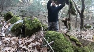 Создание теплого убежища для выживания в дикой природе в стиле Бушкрафт, приготовление пищи на костр