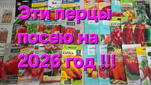 Эти перцы 100% посажу в 2026 году!!! Ленобласть!!!