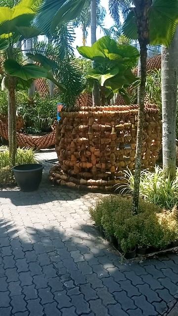 Вход в тропический сон Тайный зал орхидей в Таиланде: где цветы шепчут древние легенды смотреть онлайн