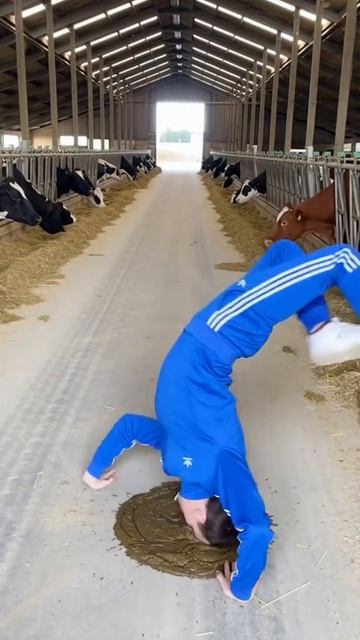 НЕЙРОСЕТИ ПРИКОЛЫ