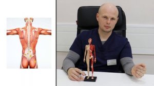 Кто такие мышечные триггеры ?