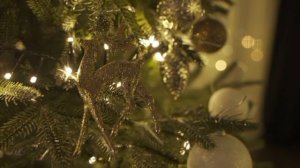 ИННА СУДАКОВА ОБЗОР