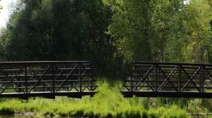 Семафоры динь-динь