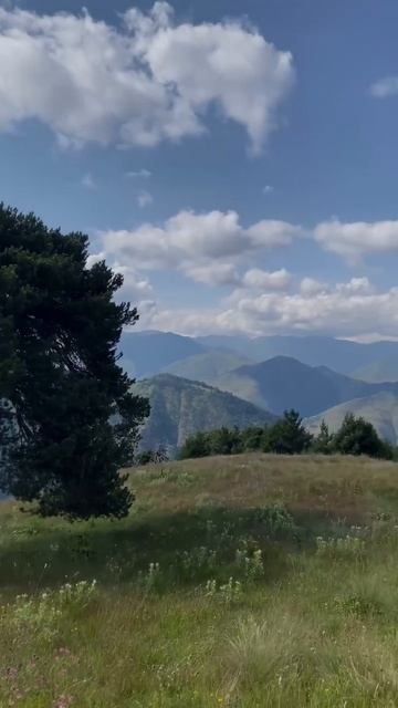 1000410448.mp4 смотреть онлайн