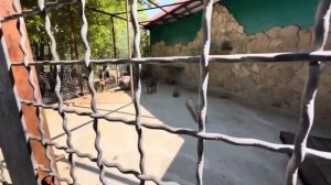 Люся не отходит от Елисея, но она повела себя не правильно, она подумала что ей ВСЕ МОЖНО, но