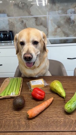 осталось научить готовить😁