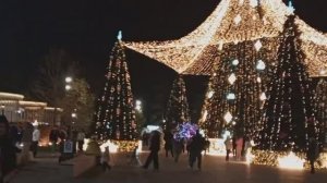 #Ёлочка новогодняя в Анапе 2025-12-21
