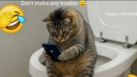 приколы смотреть онлайн