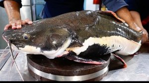 разделка сома во Вьетнаме