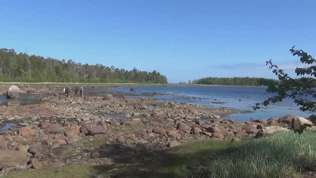 Пенсионеры на отдыхе. Белое море