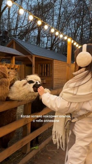 Они плюются